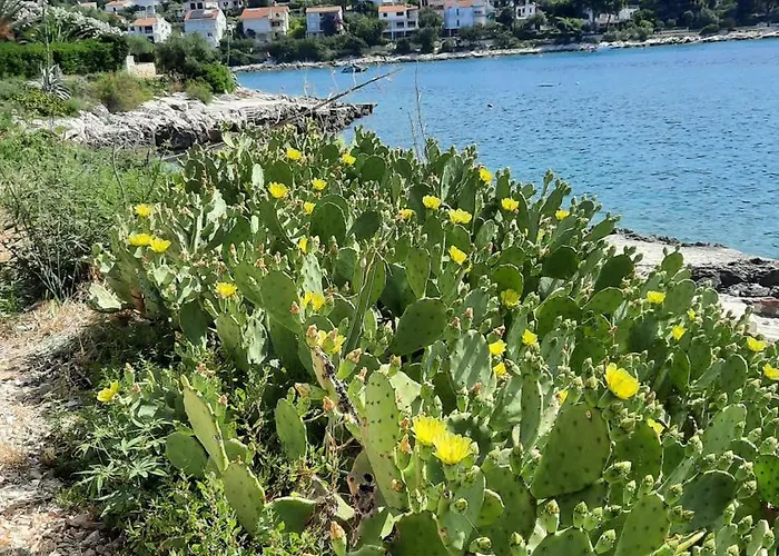 Hébergement de vacances Maja