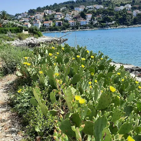 Casa de Férias Maja